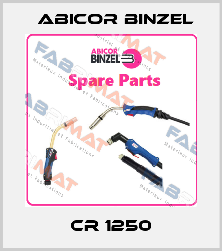 CR 1250 Abicor Binzel