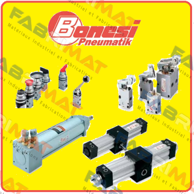 E1A2/E  Bonesi Pneumatic