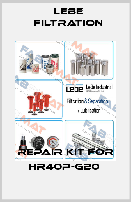 Repair kit for HR40P-G20  Lebe Filtration