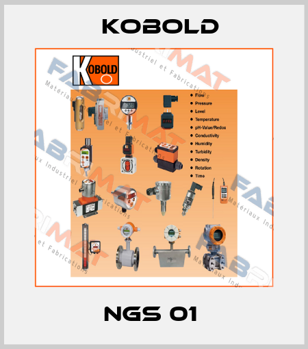 NGS 01  Kobold