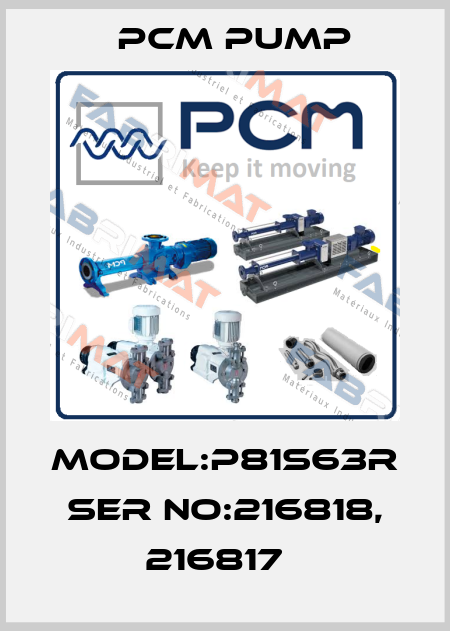 MODEL:P81S63R  SER NO:216818, 216817   PCM Pump