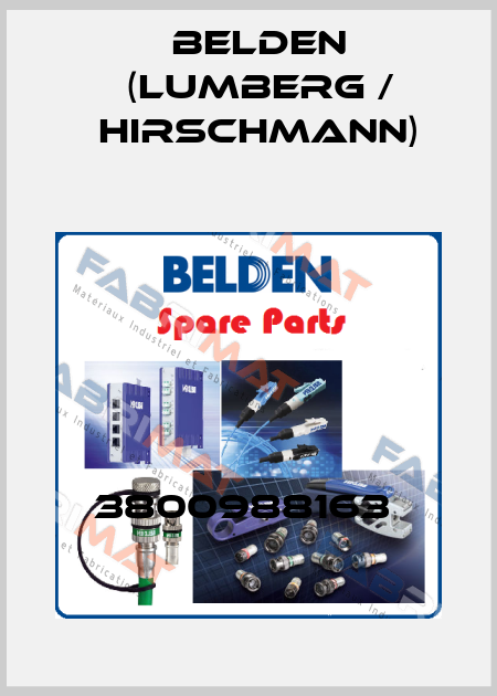 3800988163  Belden (Lumberg / Hirschmann)
