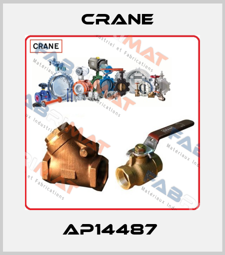 AP14487  Crane