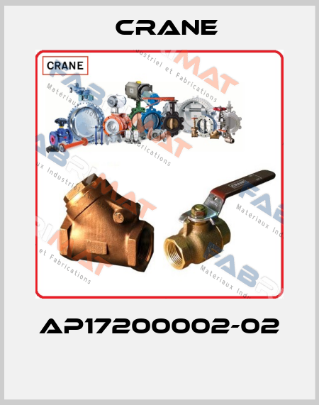 AP17200002-02  Crane