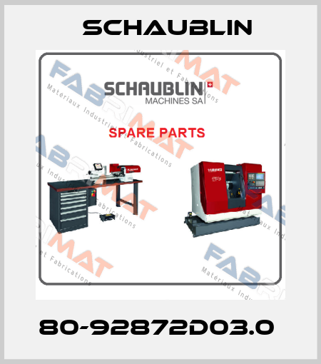 80-92872D03.0  Schaublin