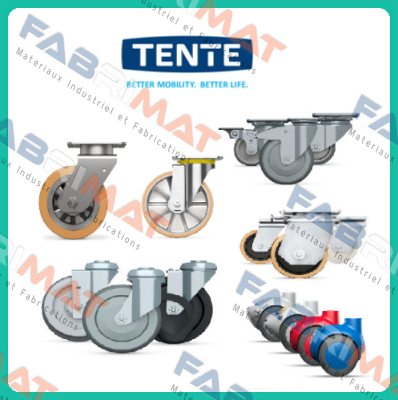 9950FTP150P65 (Teilenummer: 00803669-GS) Tente