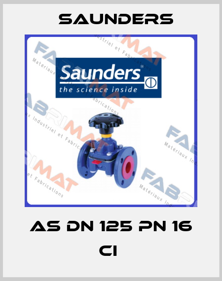 AS DN 125 PN 16 CI  Saunders