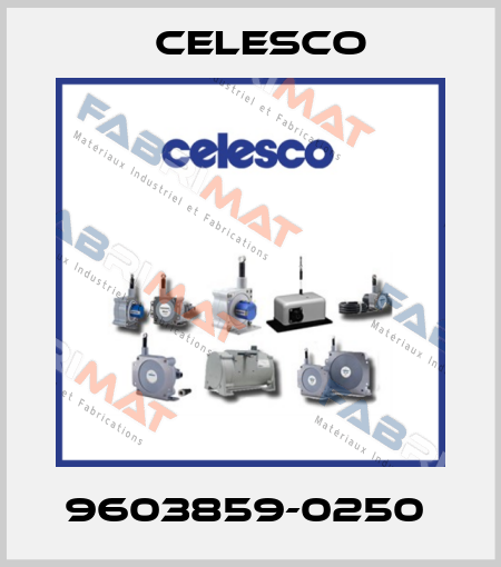 9603859-0250  Celesco