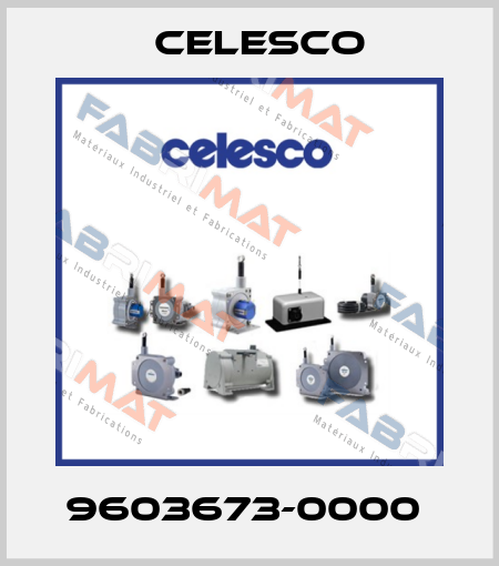 9603673-0000  Celesco