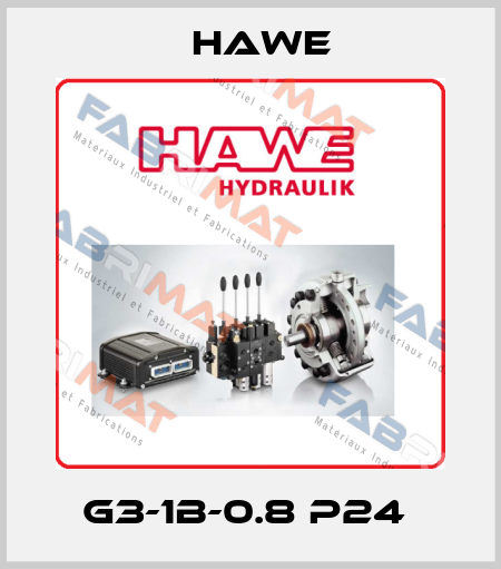 G3-1B-0.8 P24  Hawe