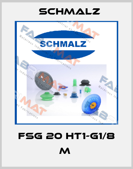 FSG 20 HT1-G1/8 M  Schmalz