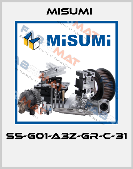 SS-G01-A3Z-GR-C-31  Misumi