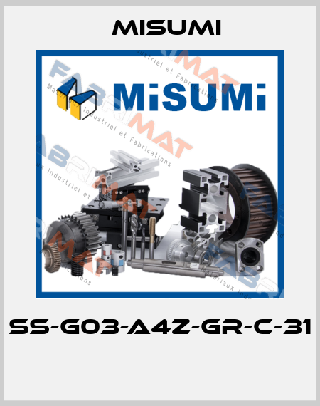 SS-G03-A4Z-GR-C-31  Misumi
