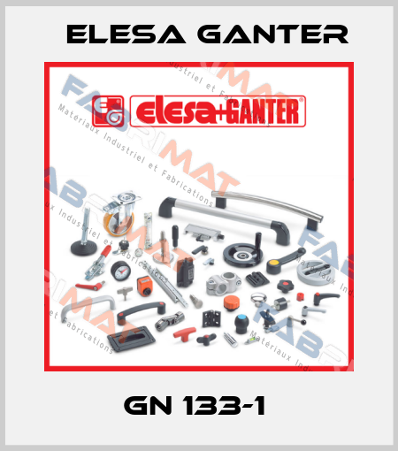 GN 133-1  Elesa Ganter