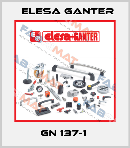 GN 137-1  Elesa Ganter