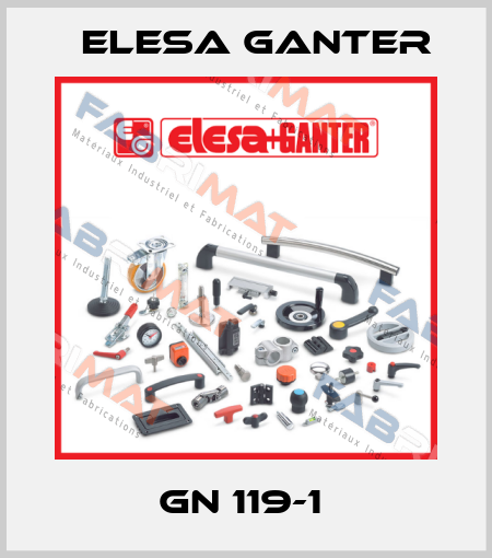 GN 119-1  Elesa Ganter