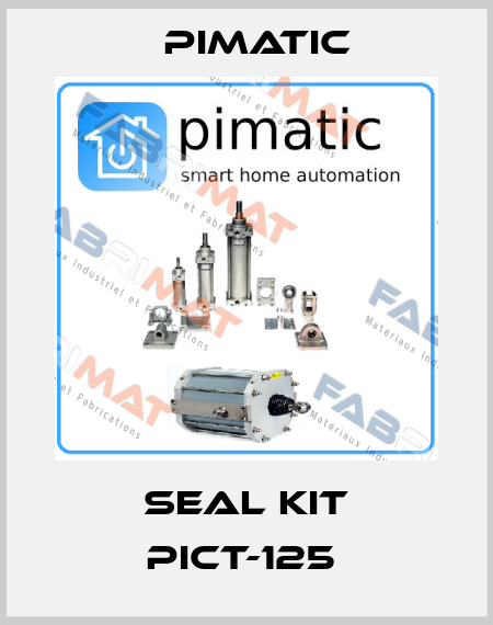 Seal kit Pict-125  Pimatic