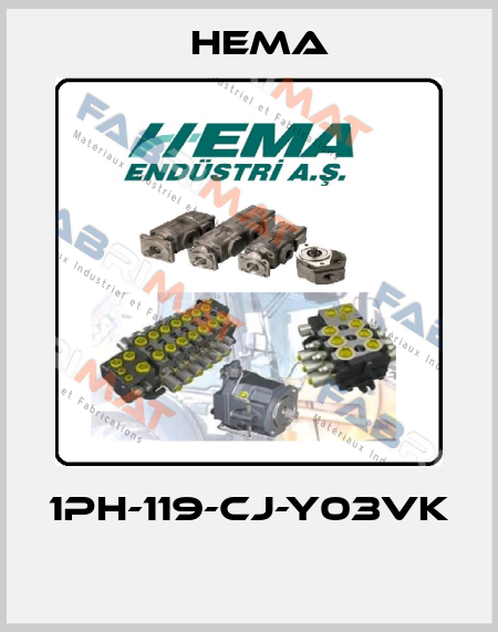 1PH-119-CJ-Y03VK  Hema