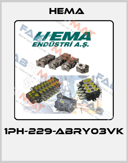 1PH-229-ABRY03VK  Hema