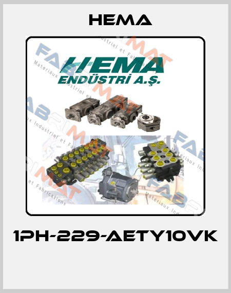 1PH-229-AETY10VK  Hema