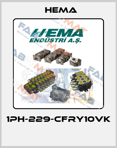 1PH-229-CFRY10VK  Hema