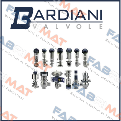 BAMBBF300BEAD Bardiani Valvole