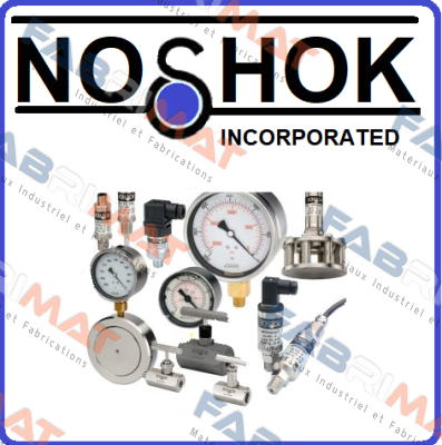 25/411/-30inHg/1/4”NPT/BSC  Noshok