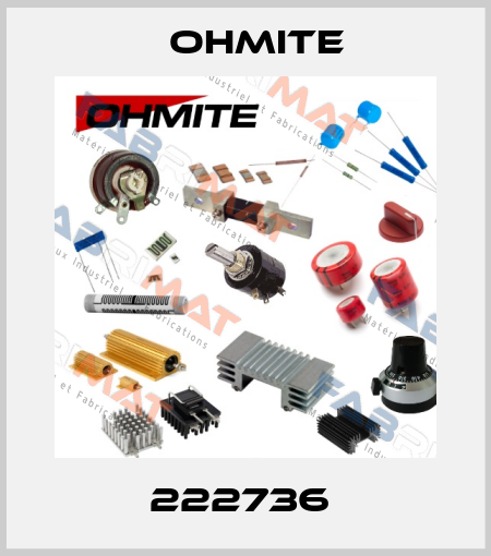 222736  Ohmite