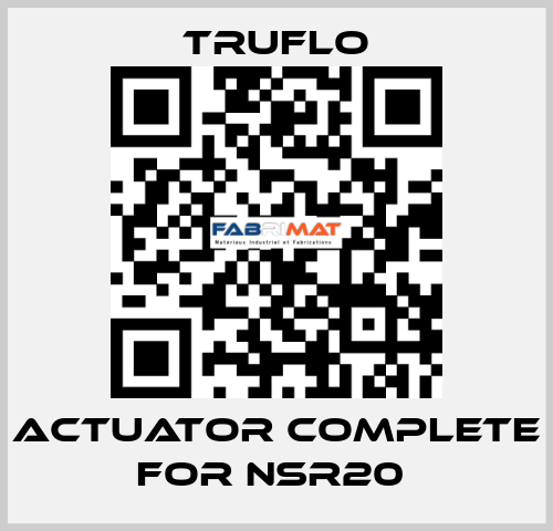 Actuator Complete For NSR20  TRUFLO