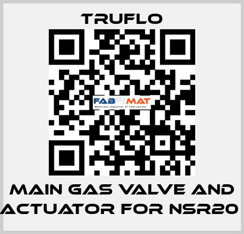 Main Gas Valve and Actuator For NSR20  TRUFLO