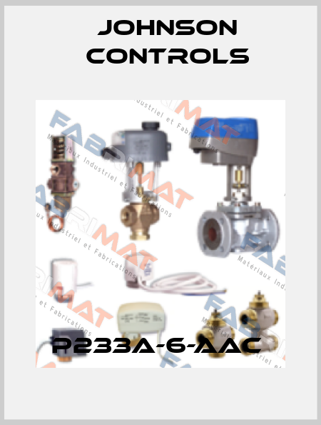 P233A-6-AAC  Johnson Controls