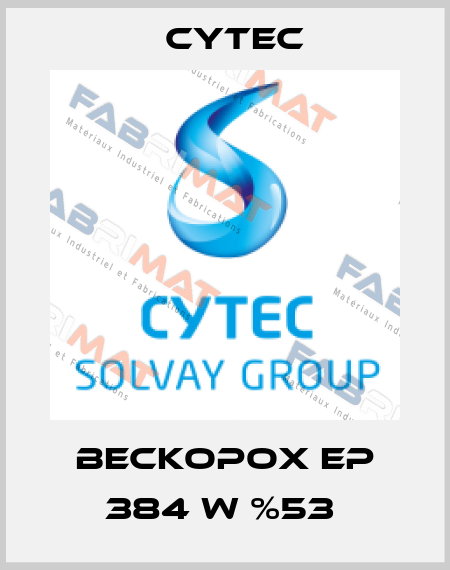 BECKOPOX EP 384 W %53  Cytec