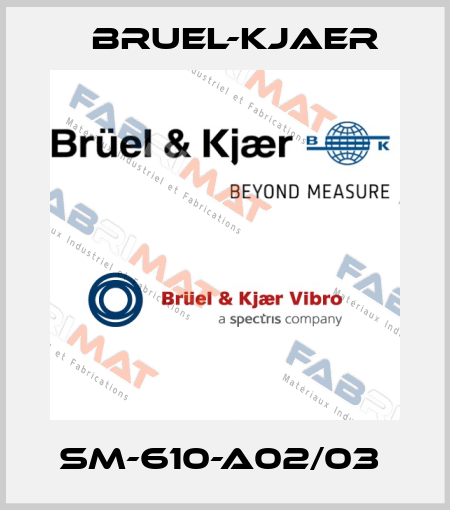 SM-610-A02/03  Bruel-Kjaer