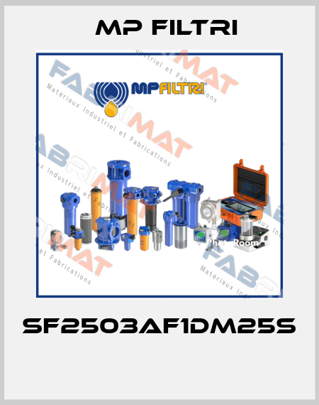 SF2503AF1DM25S  MP Filtri