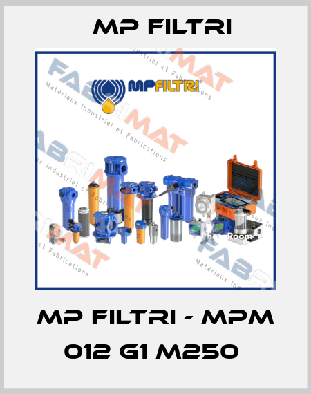 MP Filtri - MPM 012 G1 M250  MP Filtri