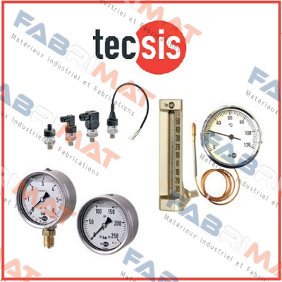 P2329B072901  Tecsis (WIKA Group)