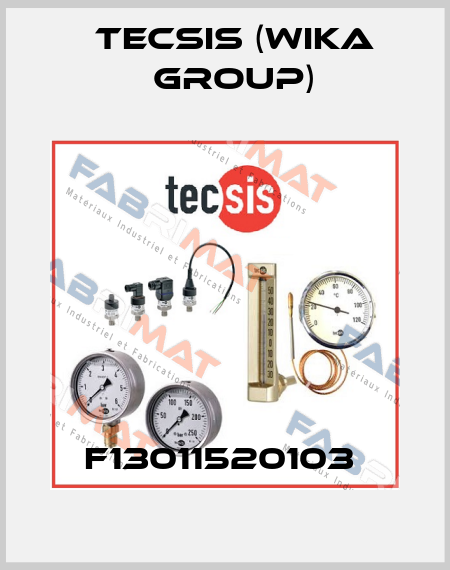 F13011520103  Tecsis (WIKA Group)