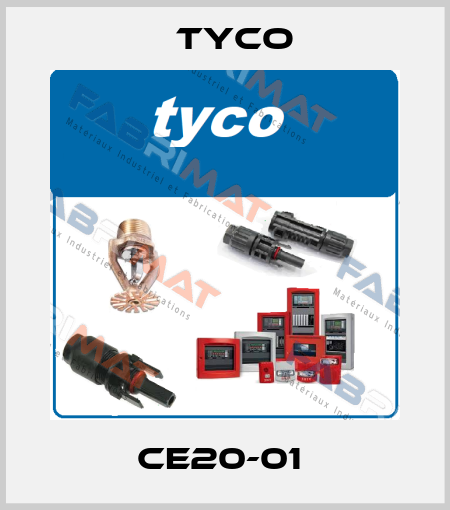 CE20-01  TYCO
