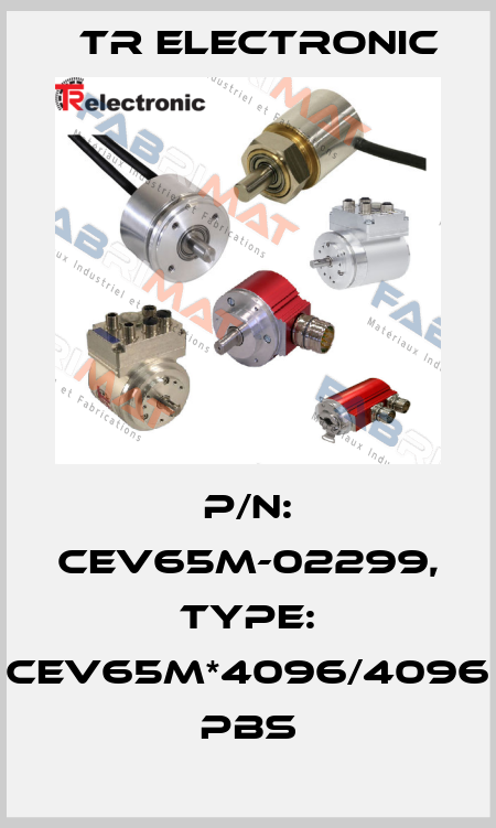 P/N: CEV65M-02299, Type: CEV65M*4096/4096 PBS TR Electronic