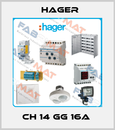 CH 14 GG 16A  Hager