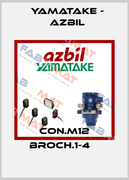 CON.M12 BROCH.1-4    Yamatake - Azbil