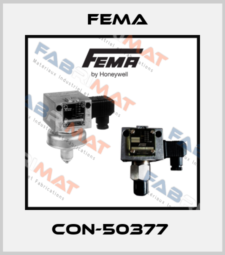 CON-50377  FEMA