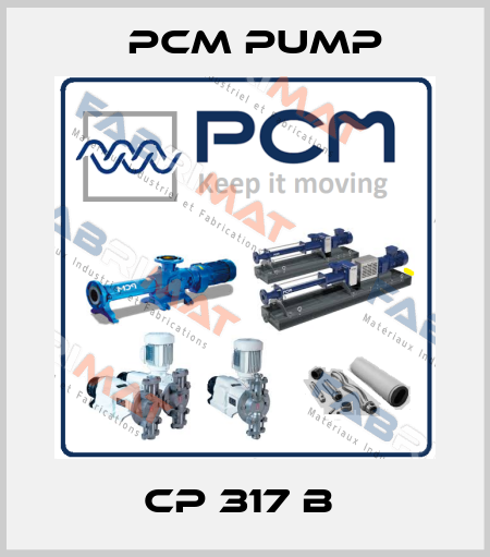 CP 317 B  PCM Pump