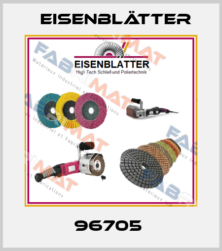 96705  Eisenblätter