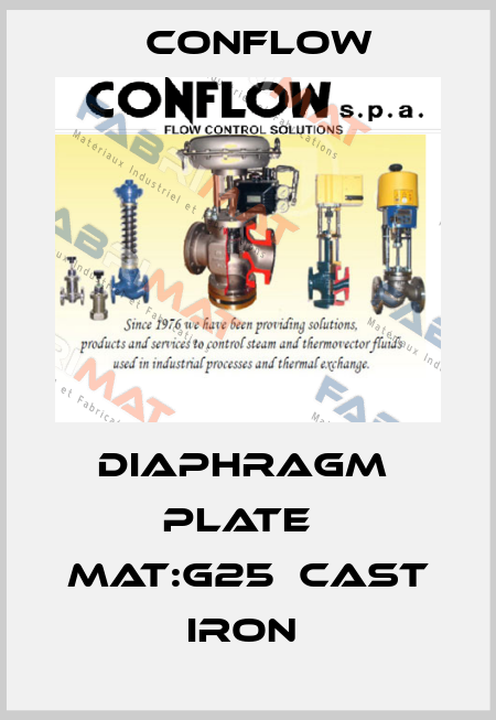 DIAPHRAGM  PLATE   MAT:G25  CAST IRON  CONFLOW