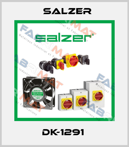 DK-1291  Salzer