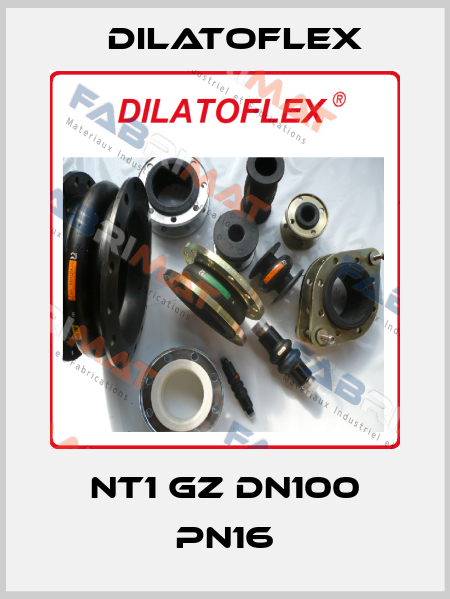NT1 GZ DN100 PN16  DILATOFLEX