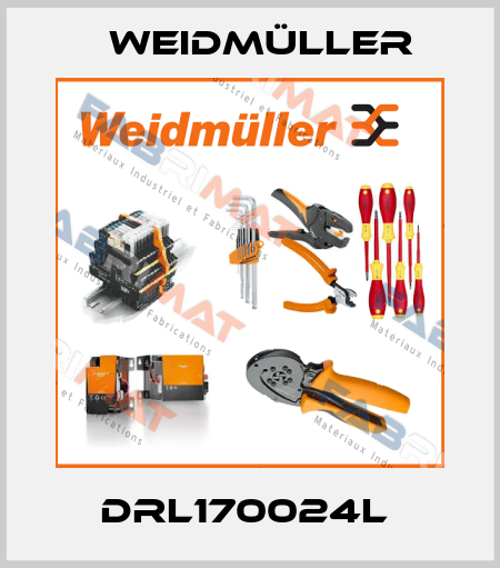 DRL170024L  Weidmüller