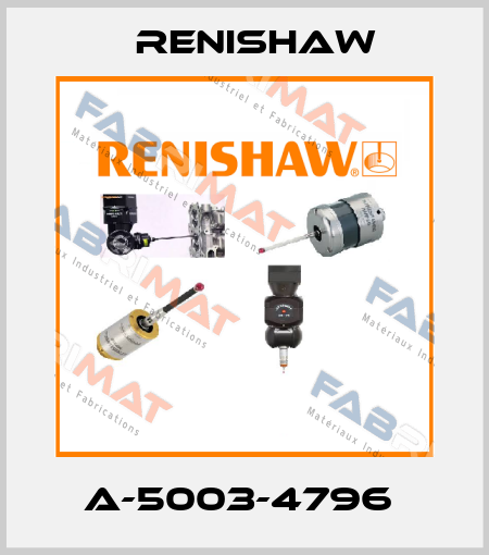 A-5003-4796  Renishaw