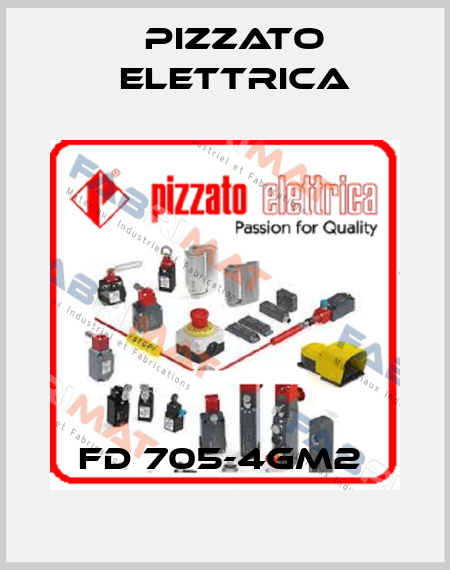 FD 705-4GM2  Pizzato Elettrica